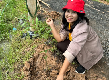 วันที่ 24 กันยายน 2567 “สหกรณ์อาสา ปลูกป่าเฉลิมพระเกียรติ” ... พารามิเตอร์รูปภาพ 4